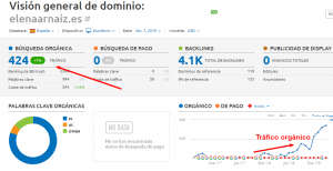 Visitas web elena arnaiz