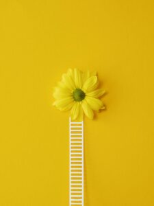 8 Aptitudes profesionales clave de los líderes