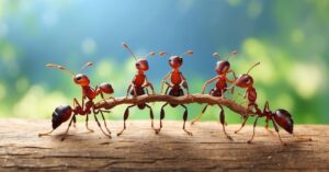 Claves para mejorar el trabajo en equipo en tu empresa