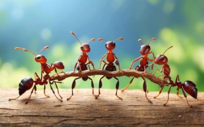 Claves para mejorar el trabajo en equipo en tu empresa