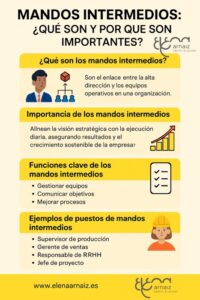infografia sobre qué son los mandos intermedios en una empresa