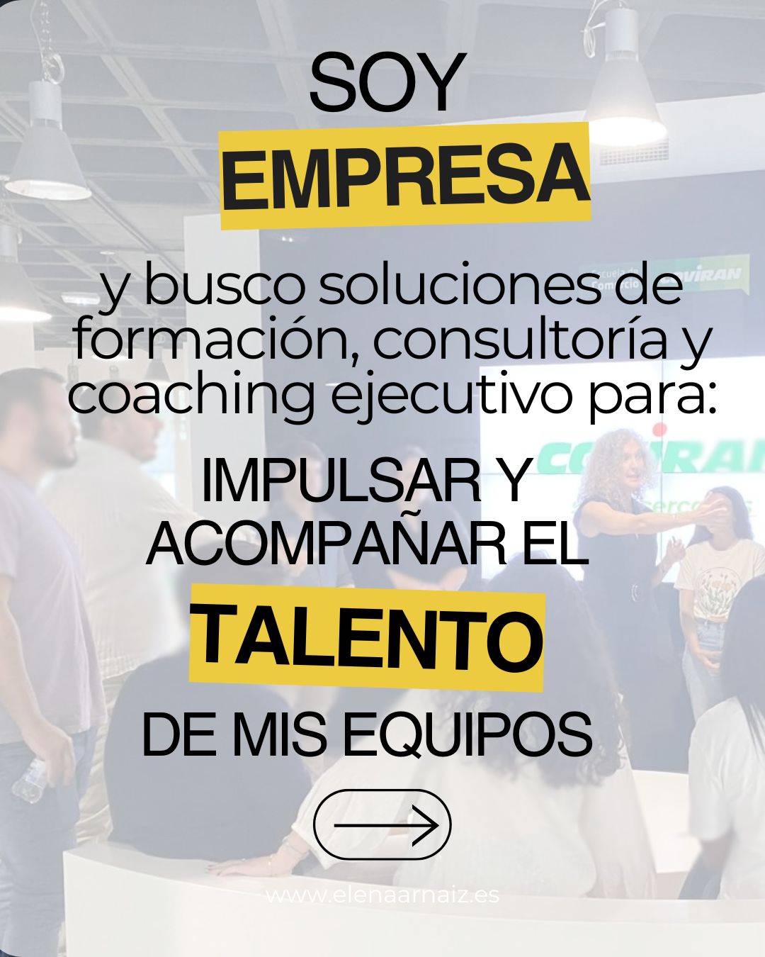 Servicios para empresa Elena Arnaiz